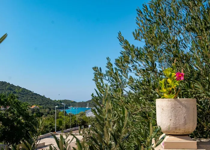 Ana Апартаменты Zrnovo